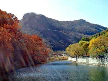 新澳天天开奖资料大全旅游团，大字机